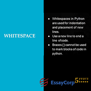 Whitespaces in Python