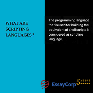 What are Scripting Languages?