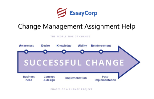 Essay on change management