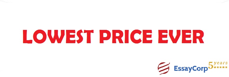 Cheapest Prices In The Whole Market For Your Essays.