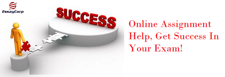 Online Assignment Help, Get Success in Your Exam!