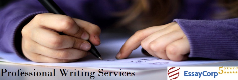 Why Should a Student Use Professional Assignment Writing Services?