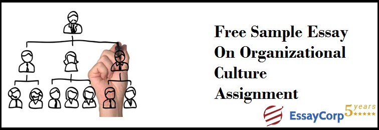 Free Sample Essay on Organizational Culture Assignment