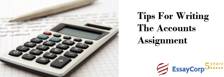 Tips For Writing the Accounts Assignment