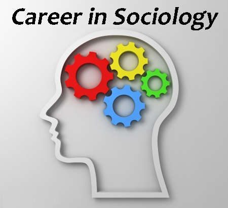 How to Write a Successful Early Career Sociologist Assignment?