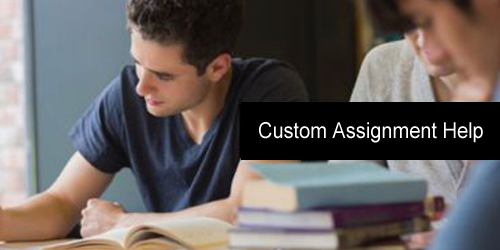 Custom Assignment Help with Aviation and other Technical Disciplines