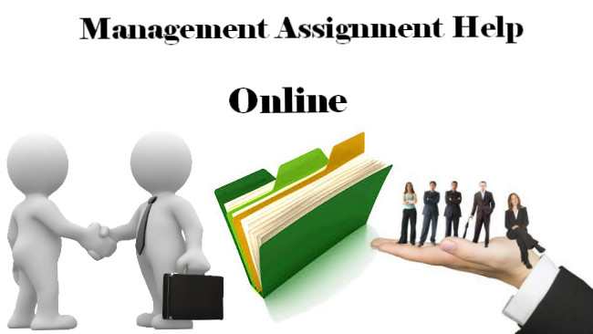 Benefits of Taking Management Assignment Help