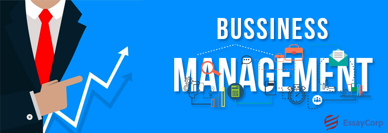Business Management Major – A Descriptive Analysis
