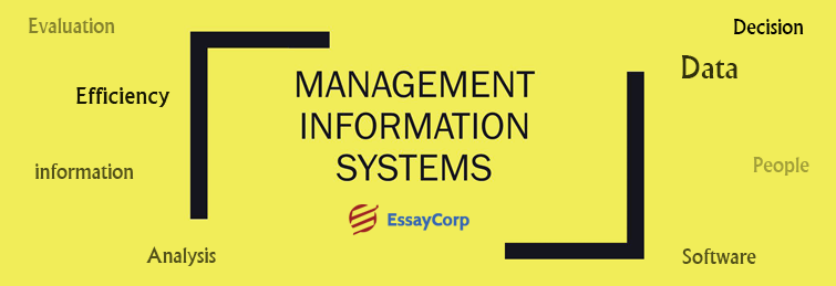 Essence of Management Information Systems in Business