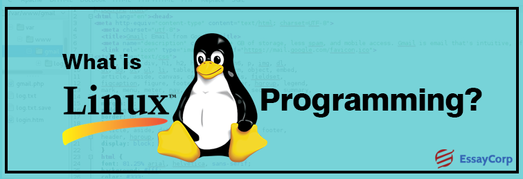 What is Linux Programming and Linux for Beginners?