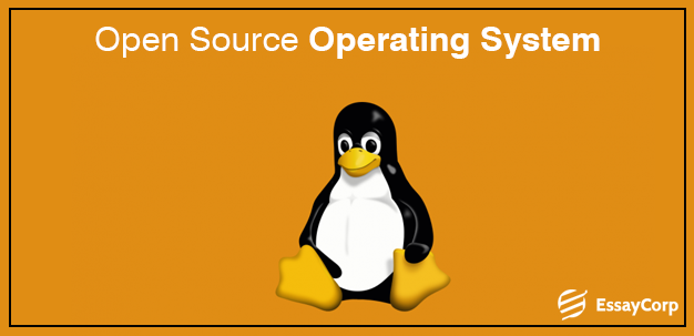 What is Linux Programming and Linux for Beginners?