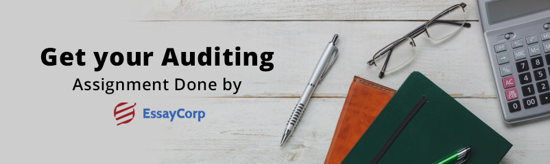 What is Auditing and Why is Auditing Necessary?