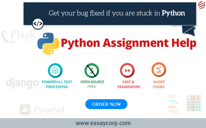 Python Programming Language: A Definitive Guide By EssayCorp