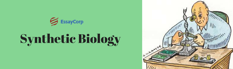 What is Synthetic Biology And its Applications?