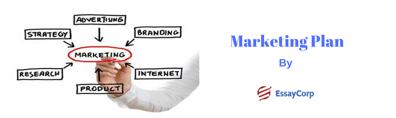 What is the Marketing Plan and Its Objectives?