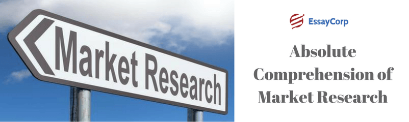 Absolute Comprehension of Market Research