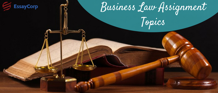 How Expert Assistance in Business Law Assignments can Yield You A+ grade?