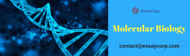 Apprehend the Meaning and Significance of Molecular Biology