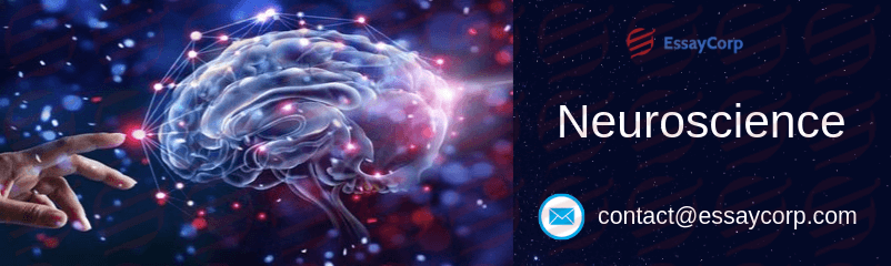 What Is Neuroscience All About? | EssayCorp