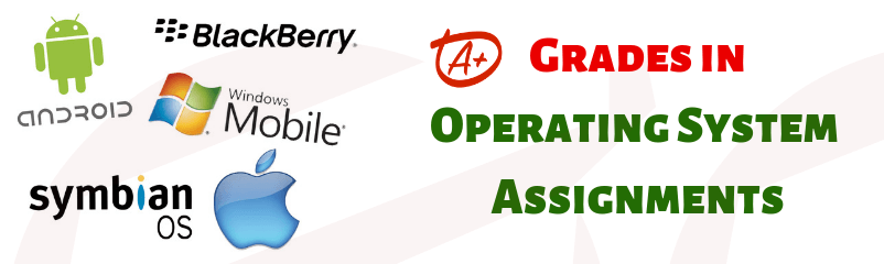 Ace Grades in Operating System Assignments?