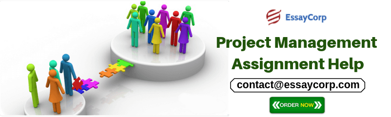 8 Bright Tips to Write Project Management Assignment