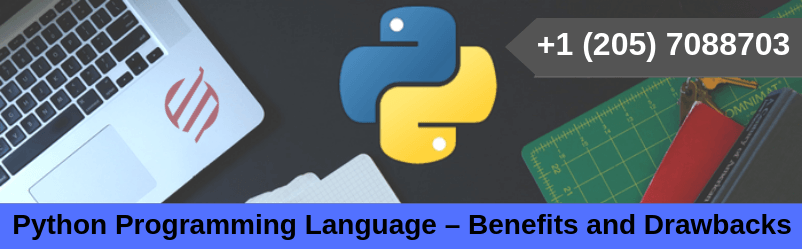 Python Programming Language – Benefits and Drawbacks