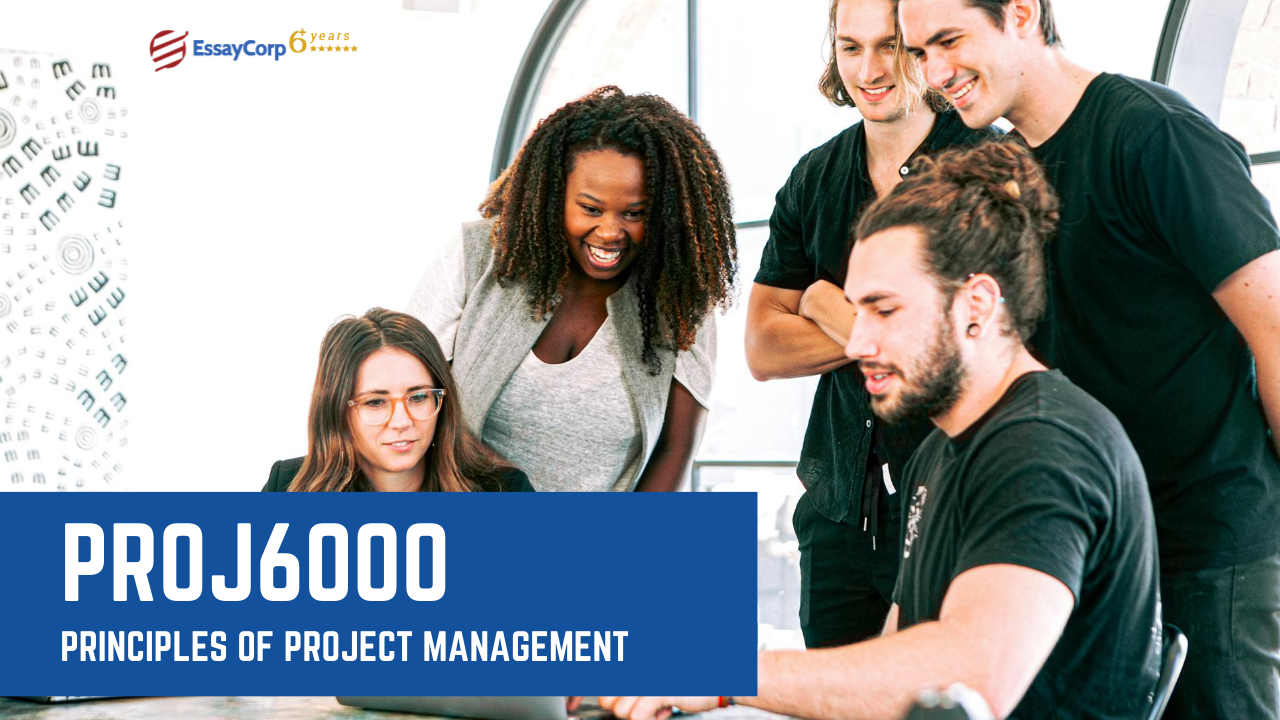 PROJ6000 Principles of Project Management | Assignment Help