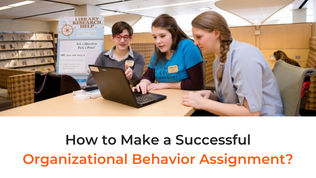 How to Make a Successful Organizational Behavior Assignment?