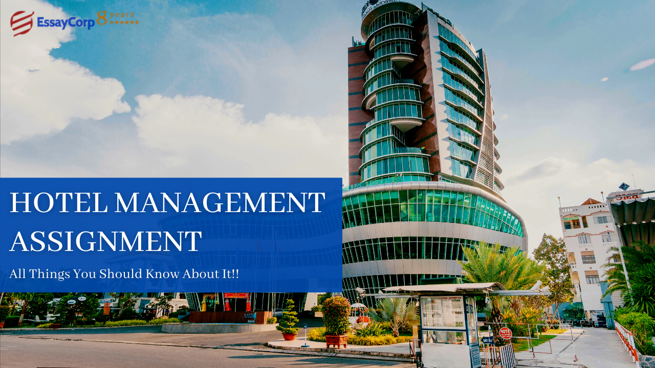 Hotel Management Assignment – Everything You Should Know