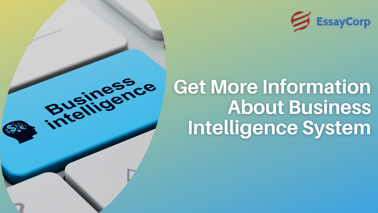 Get More Information About Business Intelligence System