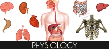 Physiology