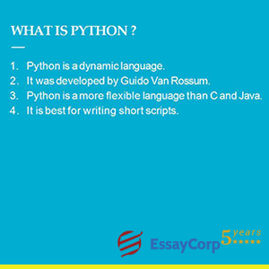 What is Python?